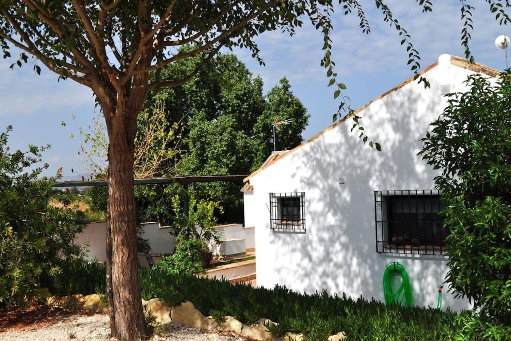 Casa Rural La Linana Córdoba Exterior foto